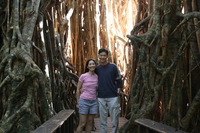 Canon EOS 5D Mark II, 2014:07:20 10:22:35 -- 1/60 sec, f/4.0.  No Flash, Compulsory.5616x3744 Off.