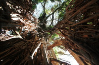 Canon EOS 5D Mark II, 2014:07:20 10:33:27 -- 1/13 sec, f/10.0.  No Flash, Compulsory.5616x3744 Off.