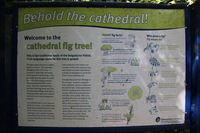 Canon EOS 5D Mark II, 2014:07:20 10:37:51 -- 1/13 sec, f/6.3.  No Flash, Compulsory.2784x1856 Off.