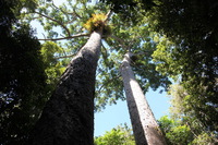 Canon EOS 5D Mark II, 2014:07:20 11:15:30 -- 1/60 sec, f/5.6.  No Flash, Compulsory.5616x3744 Off.