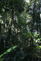 Canon EOS 5D Mark II, 2014:07:20 11:25:21 -- 1/60 sec, f/4.0.  No Flash, Compulsory.5616x3744 Off.