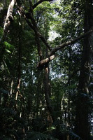 Canon EOS 5D Mark II, 2014:07:20 11:29:57 -- 1/60 sec, f/4.5.  No Flash, Compulsory.5616x3744 Off.