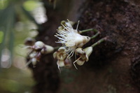 Canon EOS 5D Mark II, 2014:07:20 11:40:11 -- 1/40 sec, f/4.0.  No Flash, Compulsory.5616x3744 Off.