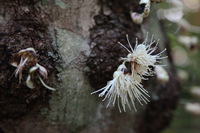 Canon EOS 5D Mark II, 2014:07:20 11:40:26 -- 1/40 sec, f/4.0.  No Flash, Compulsory.5616x3744 Off.