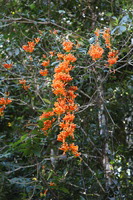 Canon EOS 5D Mark II, 2014:07:20 11:52:50 -- 1/40 sec, f/4.5.  No Flash, Compulsory.5616x3744 Off.