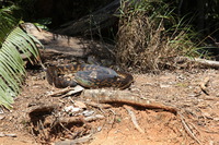 Canon EOS 5D Mark II, 2014:07:20 12:12:47 -- 1/60 sec, f/11.0.  No Flash, Compulsory.5616x3744 Off.