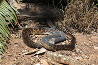 Canon EOS 5D Mark II, 2014:07:20 12:13:10 -- 1/60 sec, f/11.0.  No Flash, Compulsory.5616x3744 Off.