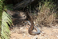 Canon EOS 5D Mark II, 2014:07:20 12:13:46 -- 1/60 sec, f/9.0.  No Flash, Compulsory.5616x3744 Off.