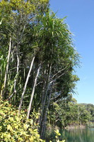 Canon EOS 5D Mark II, 2014:07:20 12:25:25 -- 1/60 sec, f/9.0.  No Flash, Compulsory.5616x3744 Off.