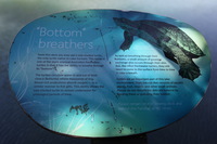 Canon EOS 5D Mark II, 2014:07:20 13:32:10 -- 1/60 sec, f/7.1.  No Flash, Compulsory.2784x1856 Off.