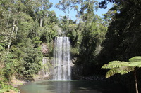 Canon EOS 5D Mark II, 2014:07:20 14:22:30 -- 1/60 sec, f/8.0.  No Flash, Compulsory.5616x3744 Off.