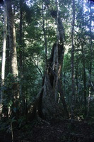 Canon EOS 5D Mark II, 2014:07:20 16:05:48 -- 1/20 sec, f/4.0.  No Flash, Compulsory.5616x3744 Off.