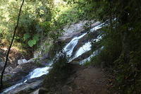 Canon EOS 5D Mark II, 2014:07:20 16:24:09 -- 1/5 sec, f/4.5.  No Flash, Compulsory.5616x3744 Off.