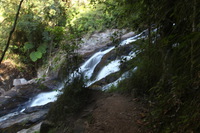 Canon EOS 5D Mark II, 2014:07:20 16:24:46 -- 3.2 sec, f/14.0.  No Flash, Compulsory.5616x3744 Off.