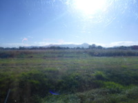 DMC-TS5, 2014:07:20 08:45:52 -- 1/1000 sec, f/3.3.  No Flash, Compulsory.4608x3456 0.00 EV.