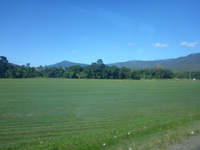 DMC-TS5, 2014:07:20 09:17:21 -- 1/400 sec, f/3.3.  No Flash, Compulsory.4608x3456 0.00 EV.