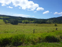 DMC-TS5, 2014:07:20 10:49:01 -- 1/250 sec, f/10.0.  No Flash, Compulsory.4608x3456 0.00 EV.