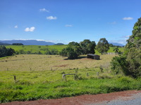 DMC-TS5, 2014:07:20 10:51:49 -- 1/1300 sec, f/3.3.  No Flash, Compulsory.4608x3456 0.00 EV.