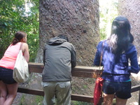 DMC-TS5, 2014:07:20 11:17:08 -- 1/40 sec, f/3.3.  No Flash, Compulsory.4608x3456 0.00 EV.