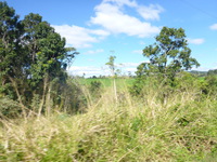 DMC-TS5, 2014:07:20 14:06:32 -- 1/640 sec, f/3.3.  No Flash, Compulsory.4608x3456 0.00 EV.