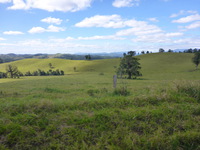 DMC-TS5, 2014:07:20 14:12:11 -- 1/800 sec, f/3.3.  No Flash, Compulsory.4608x3456 0.00 EV.