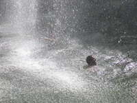 DMC-TS5, 2014:07:20 14:43:47 -- 1/500 sec, f/5.4.  No Flash, Compulsory.4608x3456 0.00 EV.