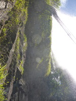 DMC-TS5, 2014:07:20 14:44:55 -- 1/800 sec, f/3.3.  No Flash, Compulsory.4608x3456 0.00 EV.