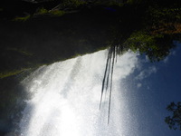 DMC-TS5, 2014:07:20 14:46:28 -- 1/500 sec, f/10.0.  No Flash, Compulsory.4608x3456 0.00 EV.