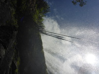 DMC-TS5, 2014:07:20 14:46:35 -- 1/800 sec, f/10.0.  No Flash, Compulsory.4608x3456 0.00 EV.