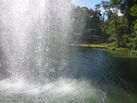 DMC-TS5, 2014:07:20 14:46:40 -- 1/1000 sec, f/3.3.  No Flash, Compulsory.4608x3456 0.00 EV.