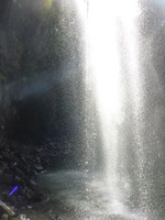 DMC-TS5, 2014:07:20 14:52:26 -- 1/500 sec, f/3.3.  No Flash, Compulsory.4608x3456 0.00 EV.