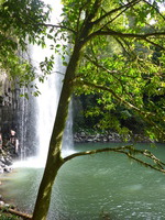 DMC-TS5, 2014:07:20 14:55:51 -- 1/80 sec, f/3.3.  No Flash, Compulsory.4608x3456 0.00 EV.