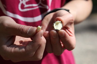 Canon EOS 5D Mark II, 2014:07:21 12:04:08 -- 1/50 sec, f/9.0.  No Flash, Compulsory.5616x3744 Off.