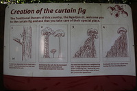 Canon EOS 5D Mark II, 2014:07:21 12:08:46 -- 1/50 sec, f/4.0.  No Flash, Compulsory.2784x1856 Off.