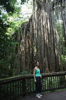 Canon EOS 5D Mark II, 2014:07:21 12:18:00 -- 1/50 sec, f/4.0.  No Flash, Compulsory.5616x3744 Off.