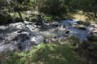 Canon EOS 5D Mark II, 2014:07:21 13:33:35 -- 1/50 sec, f/7.1.  No Flash, Compulsory.5616x3744 Off.