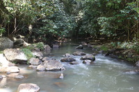 Canon EOS 5D Mark II, 2014:07:21 13:34:26 -- 1/2 sec, f/13.0.  No Flash, Compulsory.5616x3744 Off.