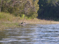 DMC-TS5, 2014:07:21 14:39:57 -- 1/250 sec, f/5.9.  No Flash, Auto.4608x3456 0.00 EV.