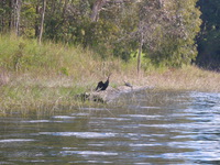 DMC-TS5, 2014:07:21 14:40:04 -- 1/500 sec, f/5.9.  No Flash, Auto.4608x3456 0.00 EV.