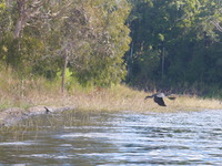 DMC-TS5, 2014:07:21 14:40:08 -- 1/500 sec, f/5.9.  No Flash, Auto.4608x3456 0.00 EV.
