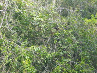 DMC-TS5, 2014:07:21 14:51:37 -- 1/400 sec, f/5.9.  No Flash, Auto.4608x3456 0.00 EV.