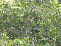 DMC-TS5, 2014:07:21 14:52:02 -- 1/400 sec, f/5.9.  No Flash, Auto.4608x3456 0.00 EV.