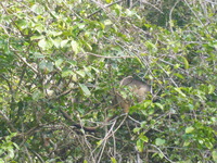 DMC-TS5, 2014:07:21 14:53:28 -- 1/160 sec, f/5.9.  No Flash, Auto.4608x3456 0.00 EV.