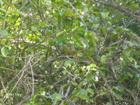 DMC-TS5, 2014:07:21 14:54:10 -- 1/200 sec, f/5.9.  No Flash, Auto.4608x3456 0.00 EV.