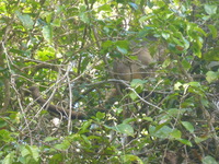 DMC-TS5, 2014:07:21 14:55:01 -- 1/100 sec, f/5.9.  No Flash, Auto.4608x3456 0.00 EV.