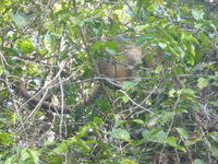 DMC-TS5, 2014:07:21 14:55:29 -- 1/125 sec, f/5.9.  No Flash, Auto.4608x3456 0.00 EV.