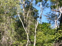 DMC-TS5, 2014:07:21 15:07:13 -- 1/160 sec, f/5.9.  No Flash, Auto.4608x3456 0.00 EV.