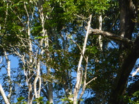 DMC-TS5, 2014:07:21 15:07:24 -- 1/200 sec, f/5.9.  No Flash, Auto.4608x3456 0.00 EV.