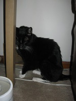 Canon PowerShot A590 IS, 2015:01:07 08:14:30 -- 1/60 sec, f/2.6.  Flash, Auto, Red-Eye Reduce.3264x2448 Red-Eye Reduction (Auto).