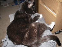 Canon PowerShot A590 IS, 2015:01:07 08:20:19 -- 1/60 sec, f/2.6.  Flash, Auto, Red-Eye Reduce.3264x2448 Red-Eye Reduction (Auto).